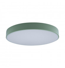 Светильник потолочный Loft IT AXEL 10002/24 Green