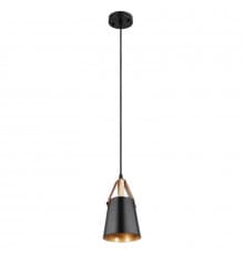 Светильник подвесной Arte Lamp Thomas A7032SP-1BK
