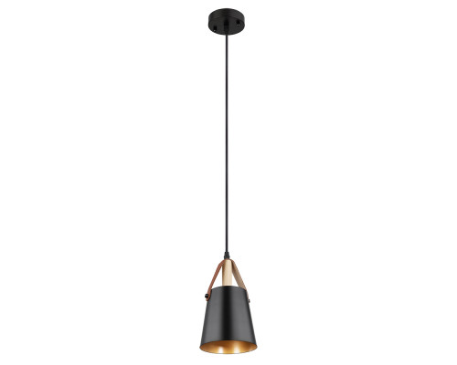 Основное фото Светильник подвесной Arte Lamp Thomas A7032SP-1BK: Купить в Интернет магазин освещения GCSVET.RU