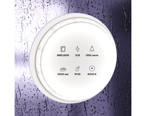 Дополнительное фото Лента светодиодная Maytoni Technical 12В 2835 14,4Вт/м 6000K IP65 10119: Купить в Интернет магазин освещения GCSVET.RU