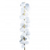 Дополнительное фото Напольный светильник Loft IT Matisse 10008F white: Купить в Интернет магазин освещения GCSVET.RU