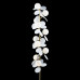 Дополнительное фото Напольный светильник Loft IT Matisse 10008F white: Купить в Интернет магазин освещения GCSVET.RU