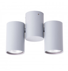 Светильник накладной ARTE Lamp A1511PL-2GY