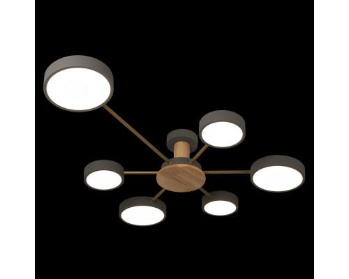 Дополнительное фото Люстра потолочная Loft IT Sunrise 10316/6 Grey: Купить в Интернет магазин освещения GCSVET.RU