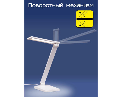 Дополнительное фото Лампа настольная Citilux Ньютон CL803080: Купить в Интернет магазин освещения GCSVET.RU