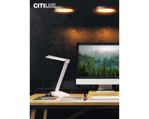 Дополнительное фото Лампа настольная Citilux Ньютон CL803080: Купить в Интернет магазин освещения GCSVET.RU