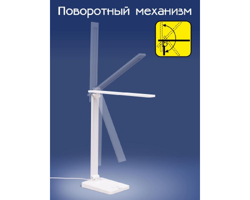 Дополнительное фото Лампа настольная Citilux Ньютон CL803080: Купить в Интернет магазин освещения GCSVET.RU