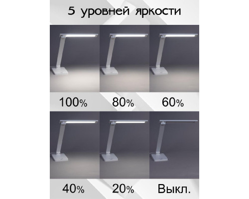 Дополнительное фото Лампа настольная Citilux Ньютон CL803080: Купить в Интернет магазин освещения GCSVET.RU