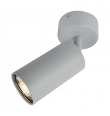 Светильник спот Arte Lamp A3216PL-1GY