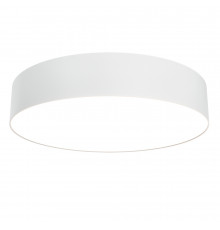 Светильник потолочный Maytoni Technical Ceiling & Wall Zon C032CL-36W3K-RD-W