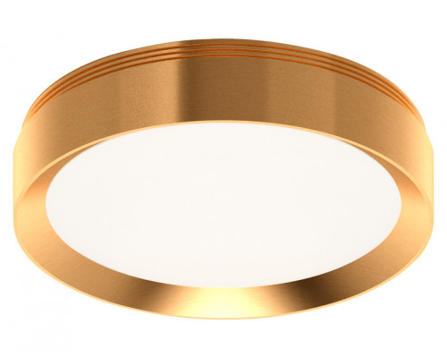 Основное фото Насадка передняя для корпуса светильника Ambrella Light DIY Spot N8124: Купить в Интернет магазин освещения GCSVET.RU