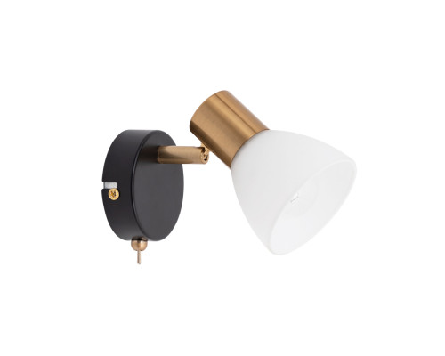Основное фото Светильник спот Arte Lamp Falena A3117AP-1BK: Купить в Интернет магазин освещения GCSVET.RU