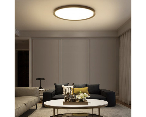 Дополнительное фото Светильник потолочный ImperiumLoft Extraslim 212746-26: Купить в Интернет магазин освещения GCSVET.RU