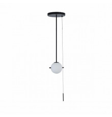 Светильник подвесной Loft IT Signal 10029PS Black