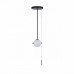 Основное фото Светильник подвесной Loft IT Signal 10029PS Black: Купить в Интернет магазин освещения GCSVET.RU