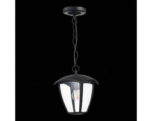 Дополнительное фото Подвес уличный ST Luce Sivino SL081.403.01: Купить в Интернет магазин освещения GCSVET.RU
