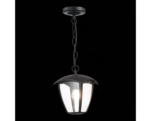Дополнительное фото Подвес уличный ST Luce Sivino SL081.403.01: Купить в Интернет магазин освещения GCSVET.RU
