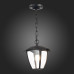 Дополнительное фото Подвес уличный ST Luce Sivino SL081.403.01: Купить в Интернет магазин освещения GCSVET.RU