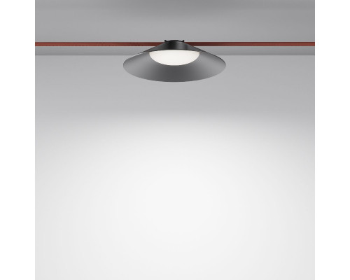 Дополнительное фото Светильник трековый Maytoni Campana TR127B-12W4K-B: Купить в Интернет магазин освещения GCSVET.RU