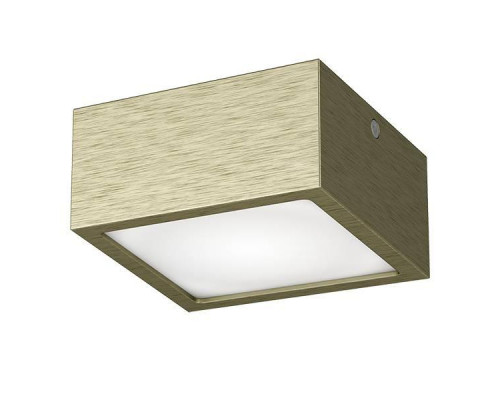 Основное фото Светильник потолочный LED Lightstar Zolla 213921: Купить в Интернет магазин освещения GCSVET.RU