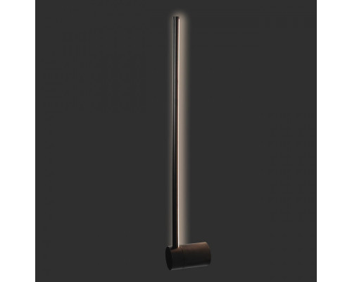 Дополнительное фото Светильник настенный Loft IT Rays 10055BK: Купить в Интернет магазин освещения GCSVET.RU