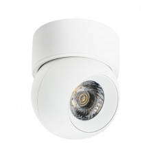 Накладной Светильник спот Lightstar Intero (217062+521706) i06206