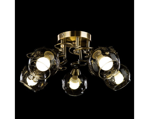 Дополнительное фото Люстра потолочная Arte Lamp 29 A5004PL-5AB: Купить в Интернет магазин освещения GCSVET.RU