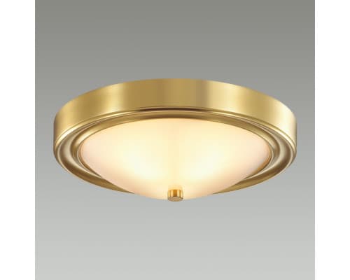 Дополнительное фото Настенно-Светильник потолочный Lumion Vintage 5259/2C: Купить в Интернет магазин освещения GCSVET.RU