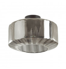 Светильник потолочный Odeon Light BINGA 4746/1C