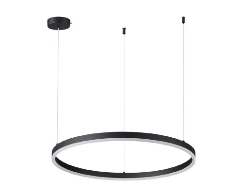 Основное фото Светильник подвесной Lumion Echo 6530/50L: Купить в Интернет магазин освещения GCSVET.RU