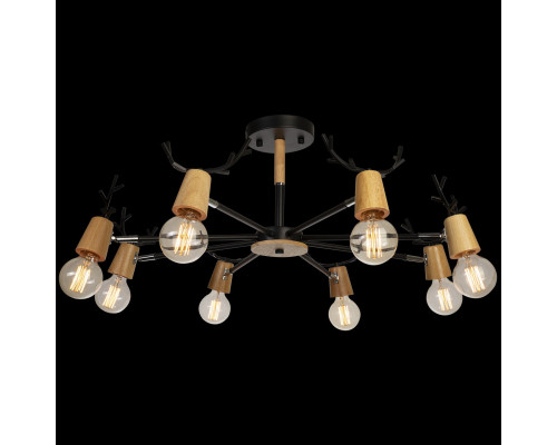Дополнительное фото Люстра потолочная Loft IT Sven 10024/8 Black: Купить в Интернет магазин освещения GCSVET.RU