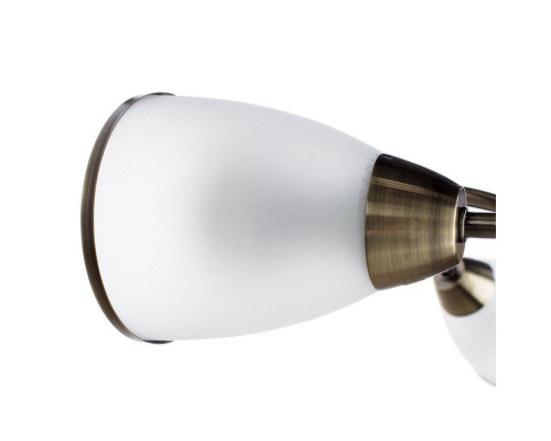 Дополнительное фото Люстра потолочная Arte Lamp 3 A6056PL-3AB: Купить в Интернет магазин освещения GCSVET.RU