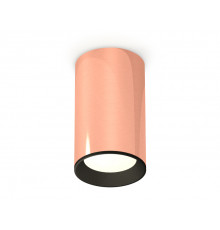 Светильник потолочный Ambrella Light Techno Spot XS6326002 (C6326, N6102)