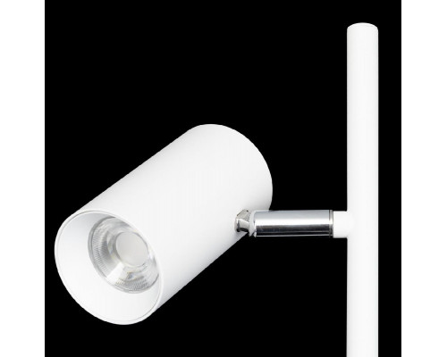 Дополнительное фото Напольный светильник Citilux Twin CL809010N: Купить в Интернет магазин освещения GCSVET.RU