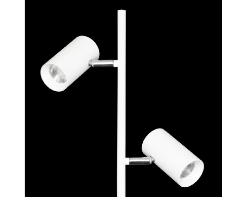Дополнительное фото Напольный светильник Citilux Twin CL809010N: Купить в Интернет магазин освещения GCSVET.RU