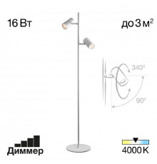 Напольный светильник Citilux Twin CL809010N