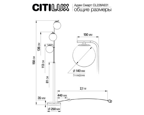 Дополнительное фото Напольный светильник Citilux Адам Смарт CL228A931: Купить в Интернет магазин освещения GCSVET.RU