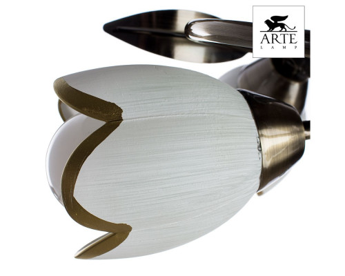 Дополнительное фото Люстра потолочная Arte Lamp 4 A6061PL-4AB: Купить в Интернет магазин освещения GCSVET.RU