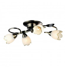 Люстра потолочная Arte Lamp 4 A6061PL-4AB