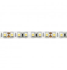 Лента светодиодная ST Luce ST016 ST016.310.65