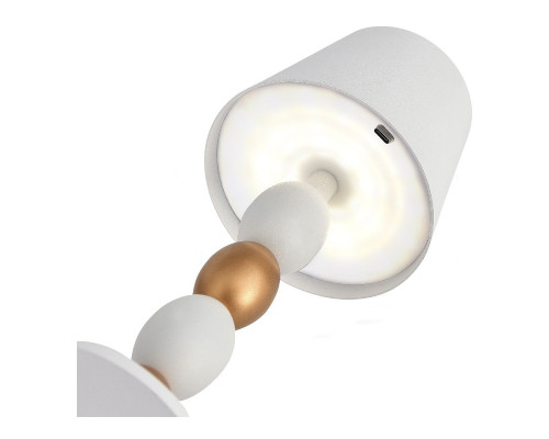 Дополнительное фото Лампа настольная ST Luce Ease SL1011.514.01: Купить в Интернет магазин освещения GCSVET.RU