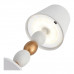 Дополнительное фото Лампа настольная ST Luce Ease SL1011.514.01: Купить в Интернет магазин освещения GCSVET.RU