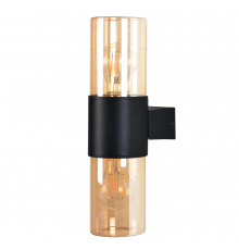 Светильник настенный для улицы Arte Lamp Seginus A6515AL-2BK