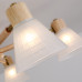 Дополнительное фото Люстра потолочная Arte Lamp Meleph A4096PL-5BR: Купить в Интернет магазин освещения GCSVET.RU