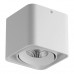 Основное фото Светильник потолочный LED Lightstar Monocco 052316: Купить в Интернет магазин освещения GCSVET.RU