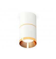 Светильник потолочный Ambrella Light Techno Spot XS7401201 (C7401, A2072, C7401, N7034)