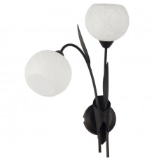 Настенный светильник Lussole Bagheria LSF-6291-02
