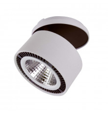 Светильник спот (встраиваемый) Lightstar Forte Inca 214829