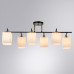 Дополнительное фото Люстра потолочная Arte Lamp Merope A4071PL-6BK: Купить в Интернет магазин освещения GCSVET.RU
