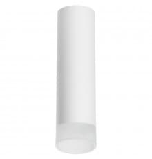 Светильник накладной Lightstar Rullo R649681 (216496+202481)